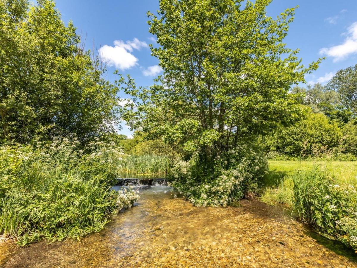2 Bed In Dorchester 75243 Frampton  Zewnętrze zdjęcie